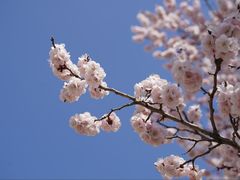 -吉林大学(南岭校区)