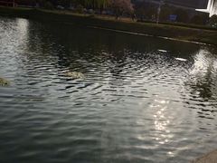 -南京工程学院(江宁校区)