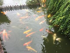 -檀园