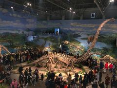 -自贡恐龙博物馆