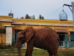 -哈尔滨北方森林动物园