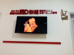 -北京安琪