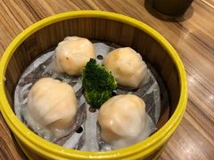 -粤港餐厅(禹州商业广场店)