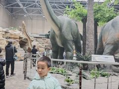 -国家自然博物馆