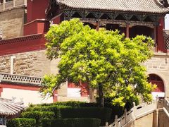 -李自成行宫