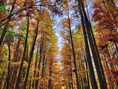 -青山湖景区