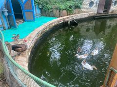 -南宫五洲植物乐园