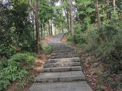 -火炉山森林公园