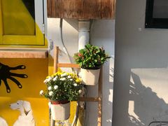 -茶是一枝花泡茶店