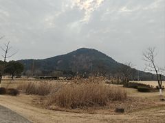 -映月湖中央公园