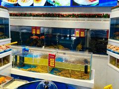 -北塘海鲜·天津菜·鲅鱼水饺是一绝(大光明桥旗舰店)