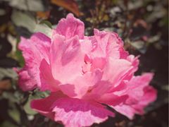 -人民公园(罗湖区)