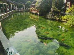 -姑婆山旅游区