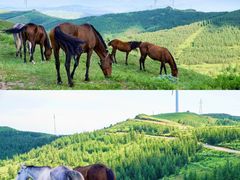 -草原天路(张北县)