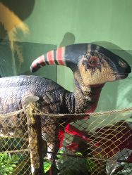 -恐龙探索乐园(磁器口店)