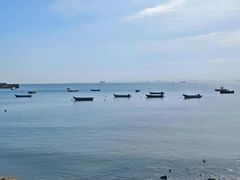 -养马岛旅游度假区