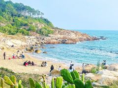 -广东惠东海龟国家级自然保护区