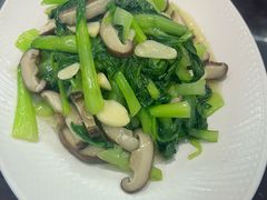 香菇青菜-文楼·淮扬菜·淮安早茶(河下古镇翔宇店)