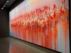 -罗红摄影艺术馆