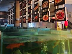 -聚福宝合苑食府(南头镇店)