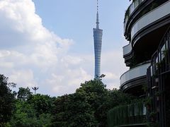 -花城苑广府菜(侨鑫店)
