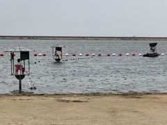 -碧海金沙