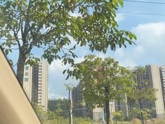 -深圳富苑皇冠假日套房酒店