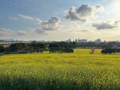 -光明小镇欢乐田园