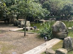 -黔灵山公园