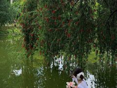 -人民公园(罗湖区)