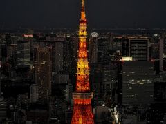 -六本木新城展望台(东京城市景观)