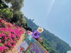 -南沙蒲洲花园