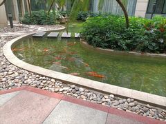 -广州白云机场雅高铂尔曼大酒店