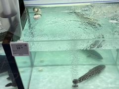 -胖东来生活广场(健康路店)