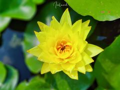 -陕西省西安植物园