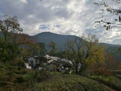 -塔川景区
