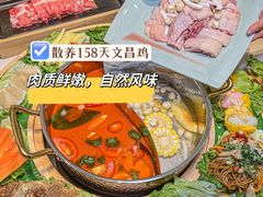 -椰小鸡·琼州糟粕醋(美兰缤纷城店)