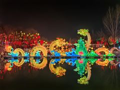 -淄博花灯齐彩城