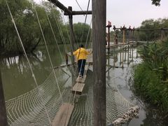 -长兴太湖图影湿地文化园