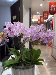 -加减美医美连锁品牌