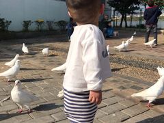 -飞来湖湿地公园