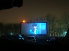 -枫花园汽车电影院(朝阳公园店)