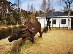 -上海长兴岛郊野公园