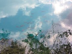 -靖西鹅泉风景区