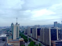 -梧桐餐厅(泉城路店)