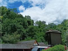 -野象谷景区