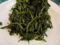 清香枸杞苗-国强手抓(北京西路店)