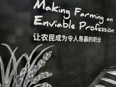 -艾米稻香小镇