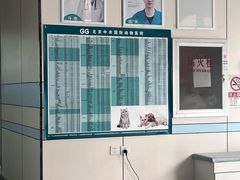 -中农国际动物医院24小时·猫科·骨科·急重症中心