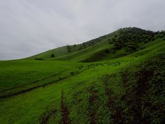 -新疆那拉提国家旅游度假区